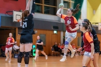 Spieltag 03.01.25 Spiel 8: HSG Dilltal / KSG Bieber(Fotos: Jörg Förster)