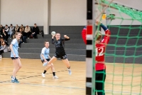 Spieltag 05.01.25 Spiel 13: KSG Bieber / HSG Herborn-Seelbach (Fotos: Reiner Knapp)